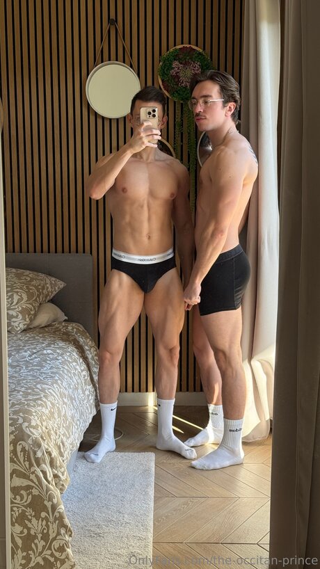 The Occitan Prince model nudes image