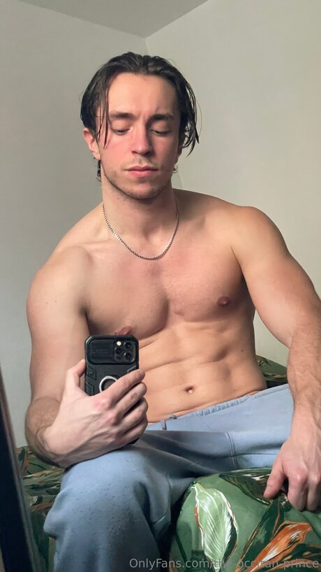 The Occitan Prince nice model images