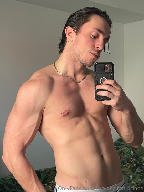 The Occitan Prince pretty model picture