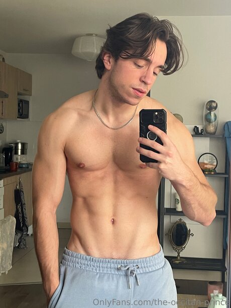 The Occitan Prince star hd img