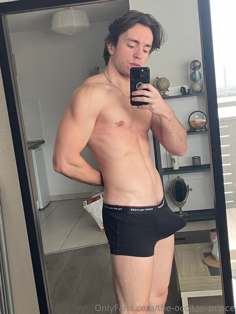 The Occitan Prince hd star archive