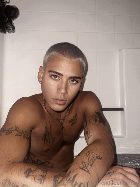 Darksidebennyfree erotic actress pic