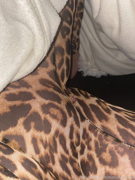 Melody Haase nice star galleries