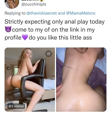 Zucch1ni high quality pornstar archive