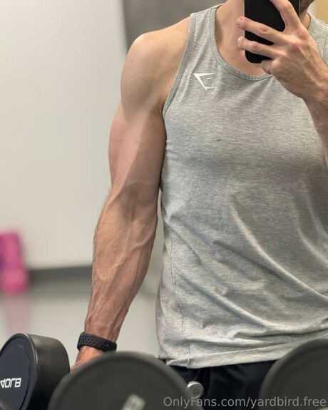 Yardbird Free model sexy photos