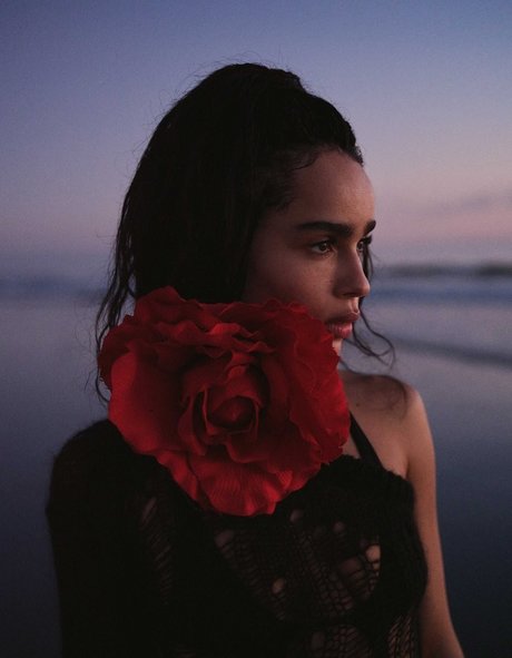 Zoe Kravitz sexy pornstar images