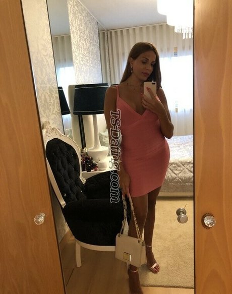 zaratrans star free pic