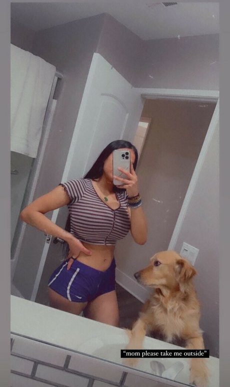 Noheli_ beautiful star galleries