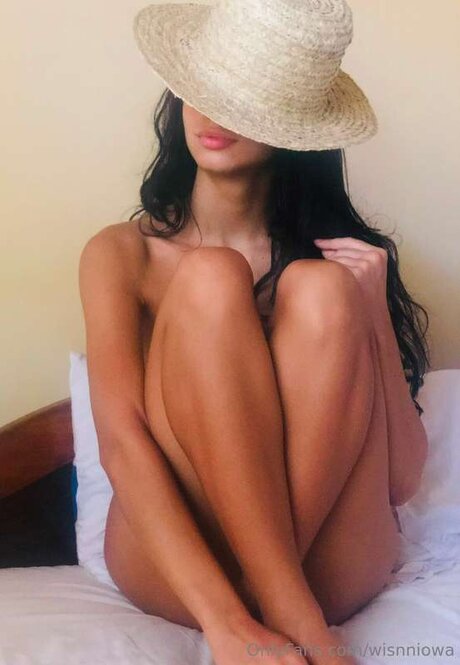 Wisnniowa star nice galleries