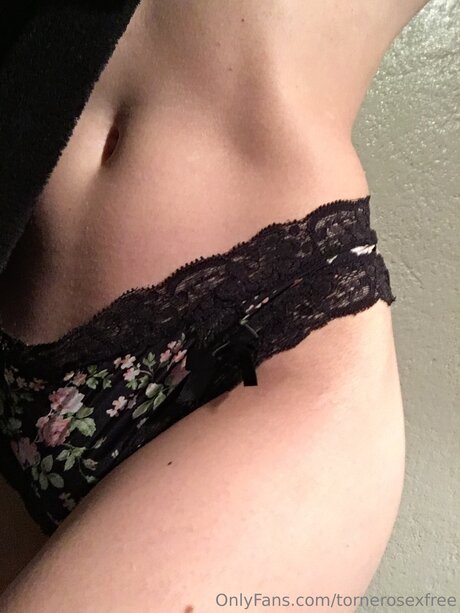 Tornerosexfree hd pornstar archive