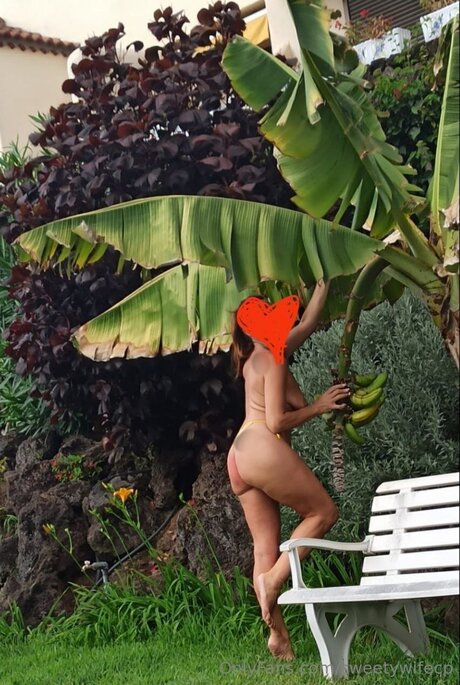 Sweetywifecp star free photo