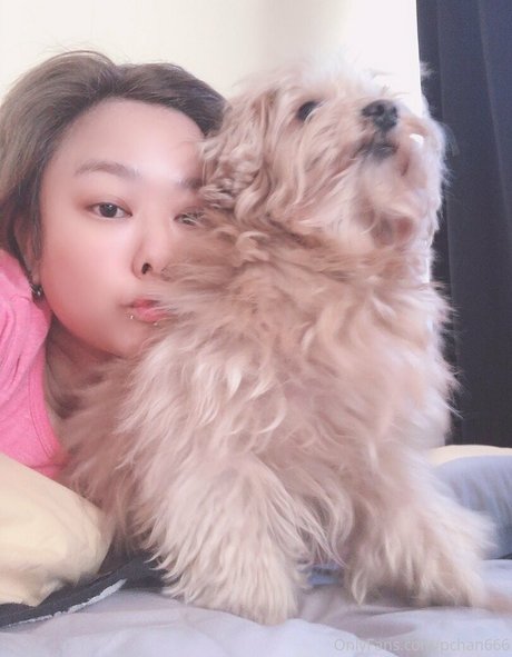 Pchan666 nudes pornstar img