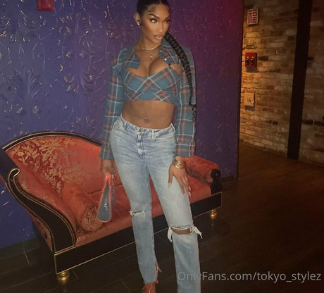 Tokyo Stylez art pornstar picture
