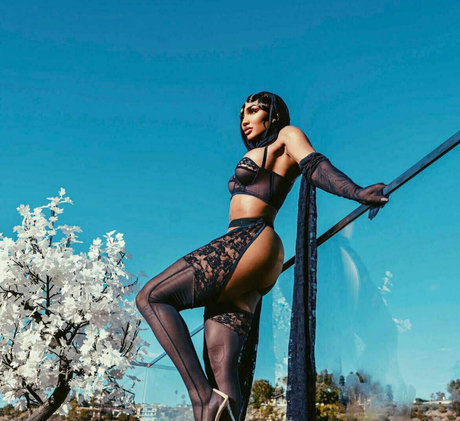 Tokyo Stylez sexy actress images