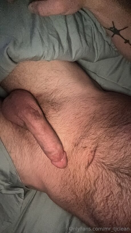 Mr Tjclean star archive