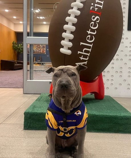 amyanderssen best star img