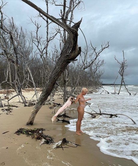 Bruna Linzmeyer nude star image