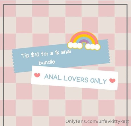 urfavkittykatt beautiful star photos