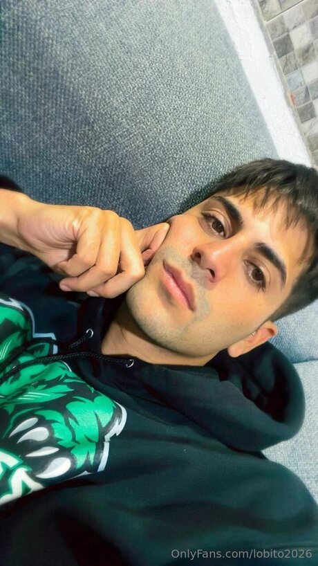 Lobito2026 art star image