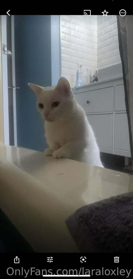 laraloxley star adult photos