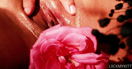 Lxckmykitt star free pictures