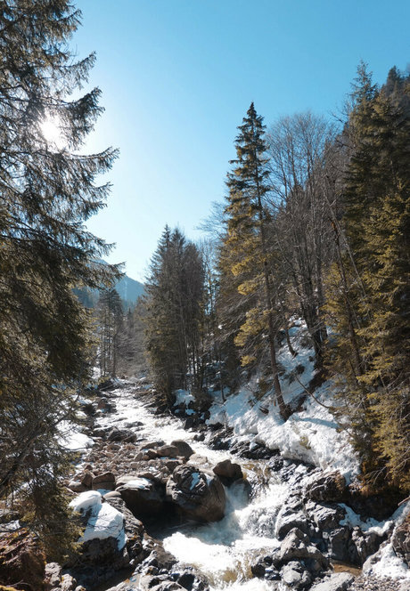 Alissa Noir sexy actress gallery