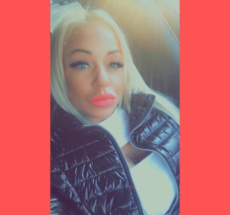 pekarvivi hd model archive