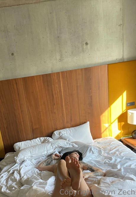 Arryn Zech star top pic