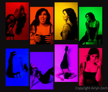 Arryn Zech Profile pic