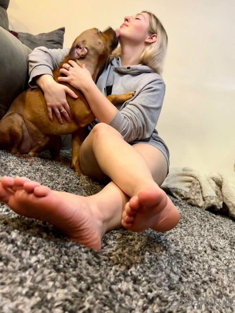 ZeldaHyrule model hd images