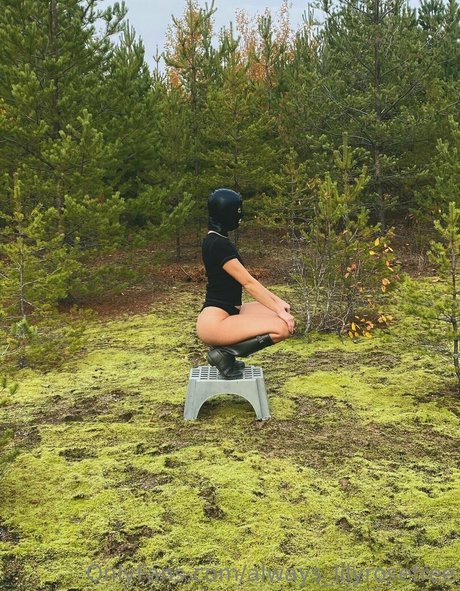 always lilyrosefree nudes star image