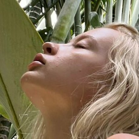 fleamxfree perfect star pics