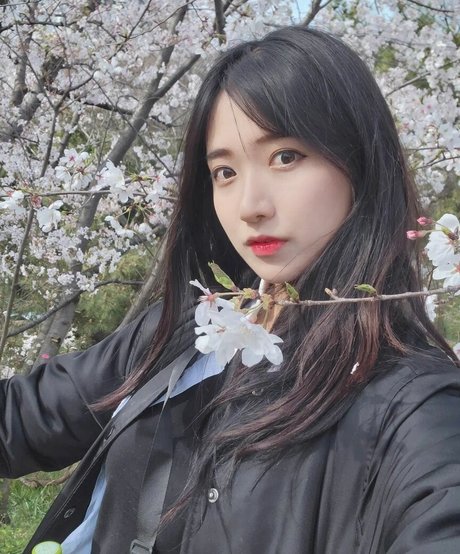 jinnytty model adult img