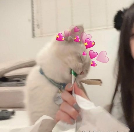 awnni art pornstar photo