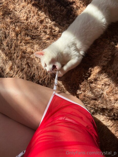 Crystal P star hot image