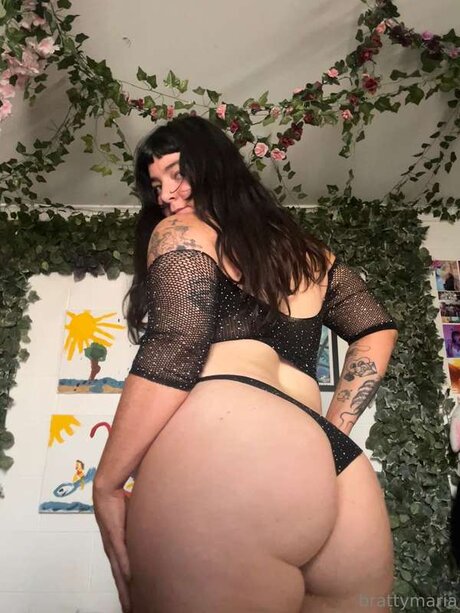 Brattymaria art star images