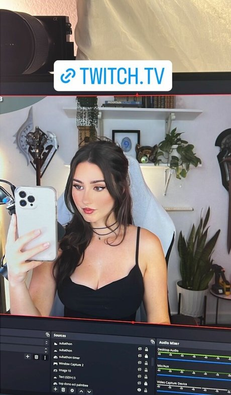 Palmbee star exclusive archive