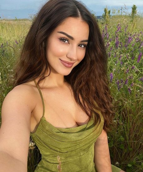 Palmbee star free pics