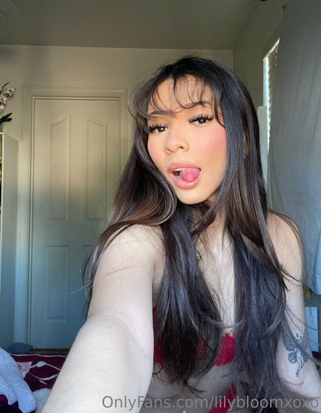 ariiadams star free galleries