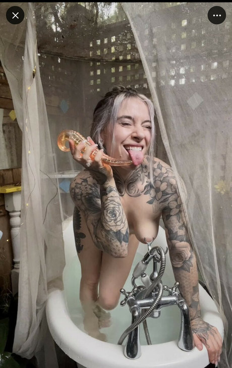 RebekkaBlue star beautiful galleries