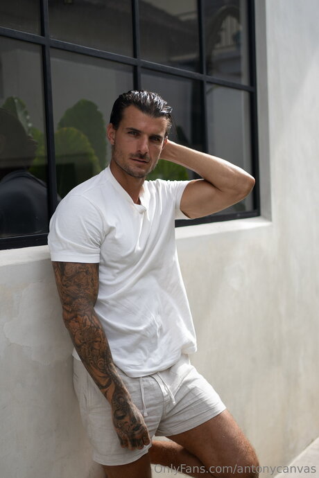 Antonycanvas pornstar art archive