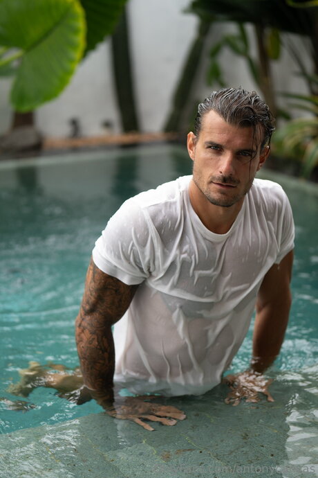 Antonycanvas star nudes image