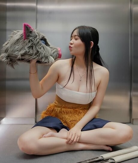 Tamirana NS model art archive