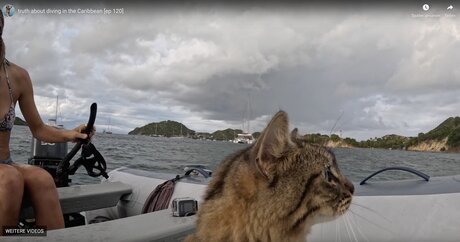 Lauren Landers pornstar archive