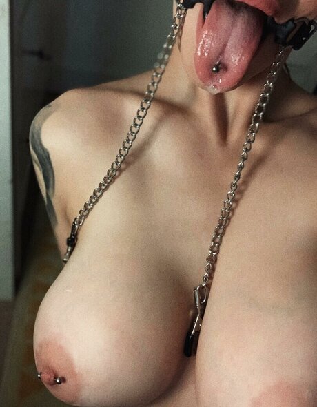 Shai__hulud beautiful star galleries