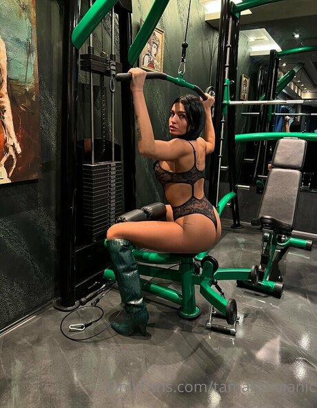 Tamara Bojanic pornographic star photos