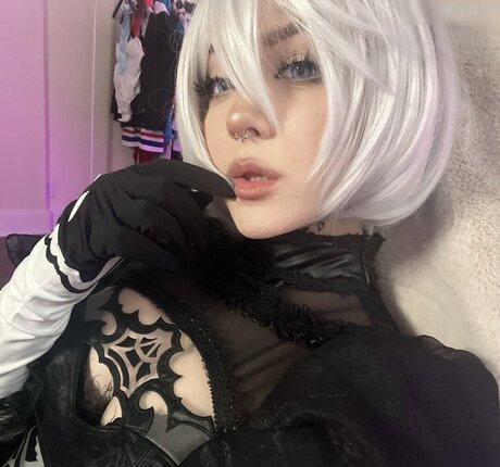 Laurinchhhe model img