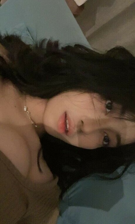 risaatjan nice star galleries