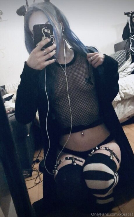 AwesomeTeaCat star pretty photo