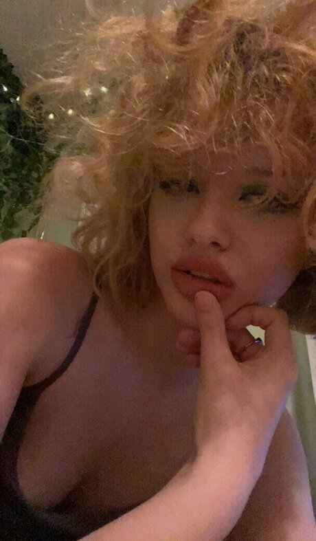 Gina Lynn pornstar perfect picture